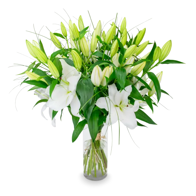 Bouquet of lilies